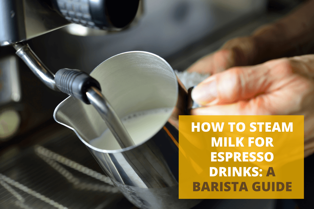 How to Steam Milk for Espresso Drinks: A Barista Guide