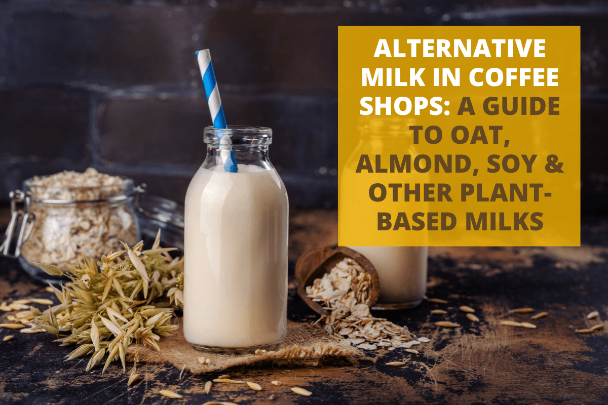 Alternative Milk in Coffee Shops: A Barista Guide to Oat, Almond, Soy & Other Plant-Based Milks